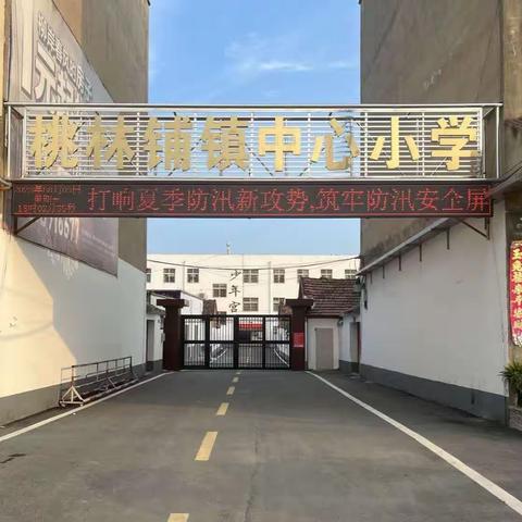 “向心而行，从新启程”——桃林铺镇中心小学开学迎新