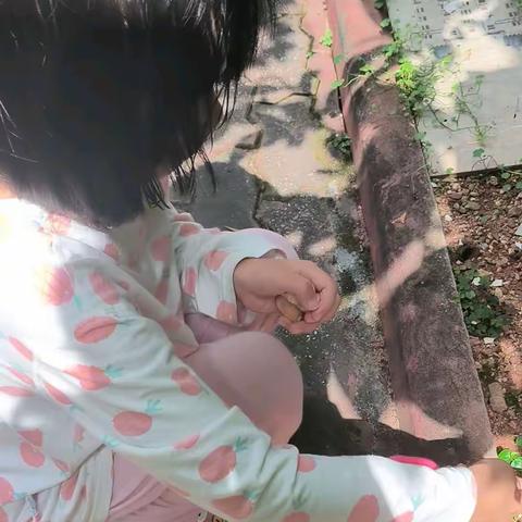 《大蒜种植》 二（5）班童禹乐