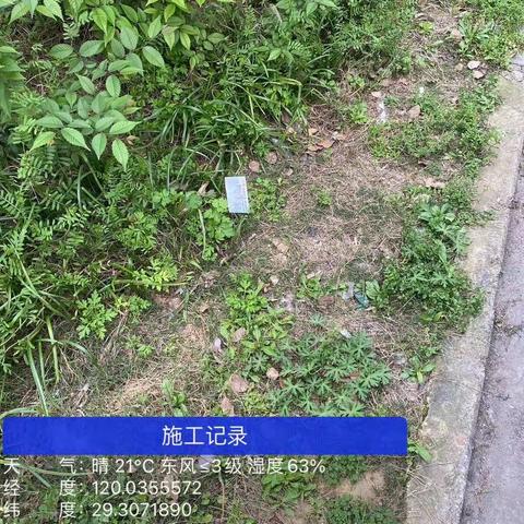 城西分公司运营部绿化带专项检查—幸福社区