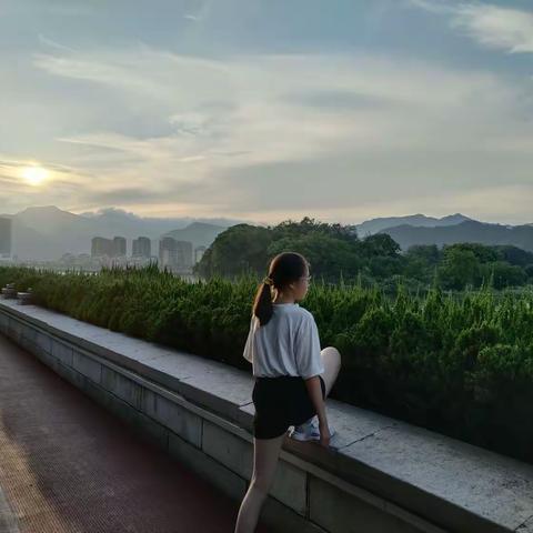 509班伍岑灵          暑期实践