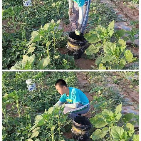 缤纷夏日，“暑”期有我，“暑”我精彩。又一个多姿多彩的假期在硕果盈盈、秋高气爽中结束。请各位老师、同学们伴随