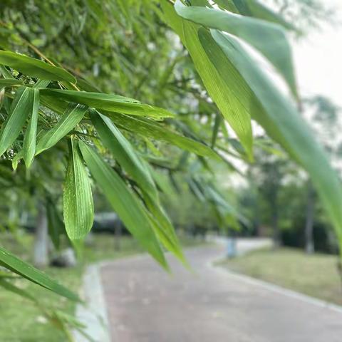 胡彦祖的暑假总结（写在2023年8月30日）