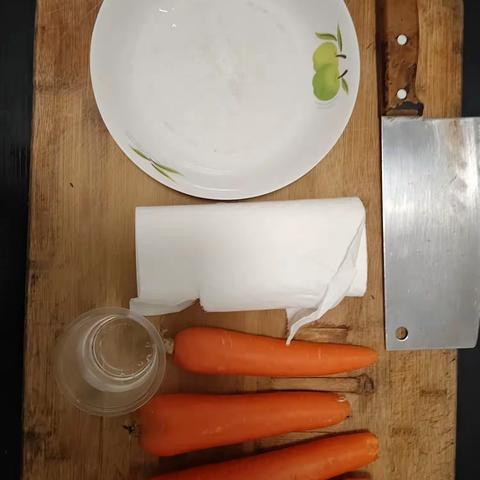 二（2）班刘杨硕科学小实验《蔬菜花园》