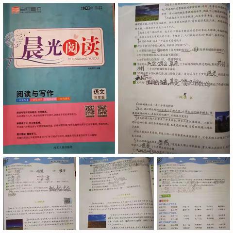 2023年李晨汐暑期作业汇报