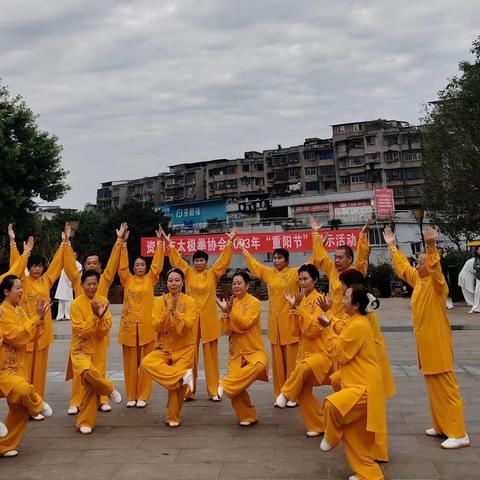 情系太极（资阳.重阳）