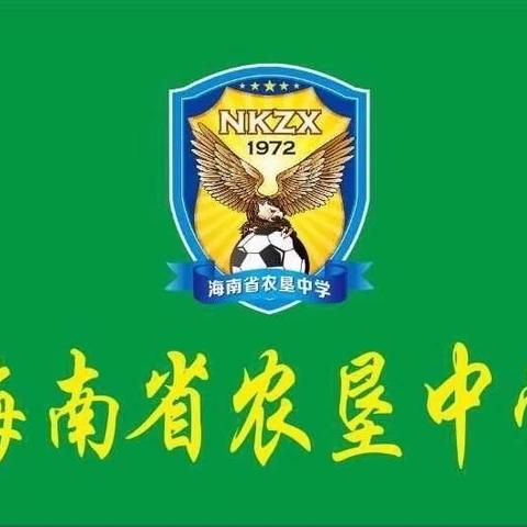 《足球点燃激情，绿茵承载梦想——我校高中男子足球队参加省中学生校园联赛纪实》