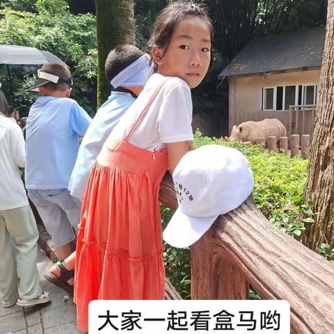 记录第一次露营，此生必去佛山三水小农街生态园