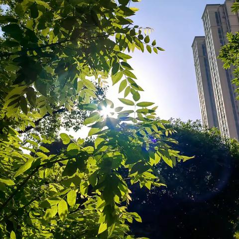 缤纷假期，暑我最棒（2023）