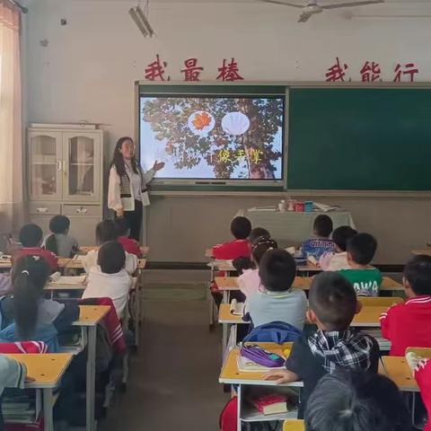 “兴趣是最好的老师”—记兴安小学二年级《树之歌》课外实践活动