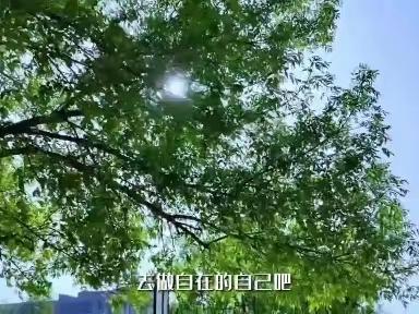 让自己活成一束光，把生命照亮——寿光一中“青春有YOUNG”5·25心理健康月系列活动