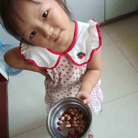 “植物你好”——济源市愚公路幼儿园 大四班 暑期种植活动