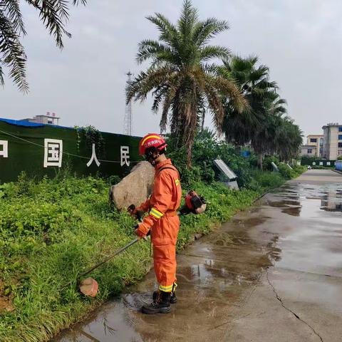 我为群众办实事—下埠镇专职消防队组织开展道路旁杂草清理