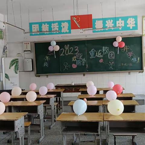 陈集镇丁集小学—家园清洁