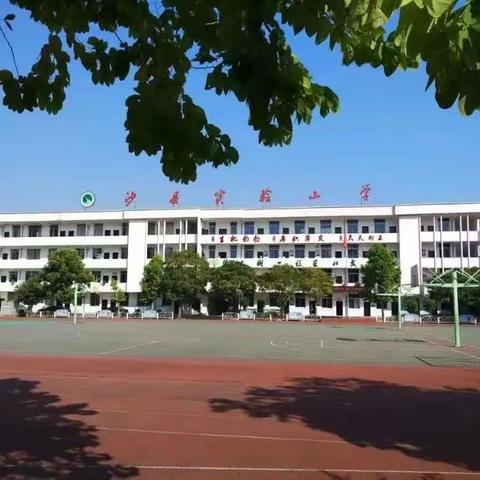 放飞梦想，扬帆起航--我们开学啦         沙县区实验小学2023级（7）班开学啦