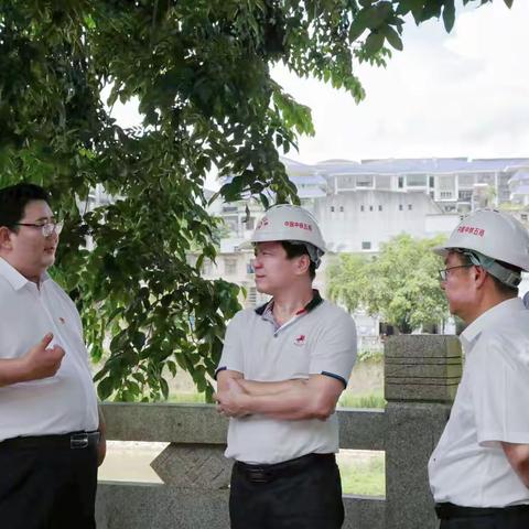 省重大办督导服务组到五指山市调研