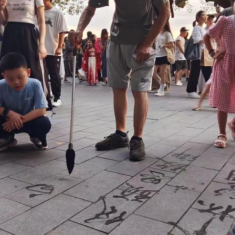 莲都区囿山小学教育集团408萤火虫中队——项钰博《缤纷盛夏 快乐成长》