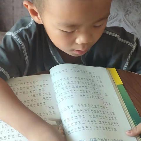 濮阳县第四实验小学二年级八班 刘梓贤 暑假生活