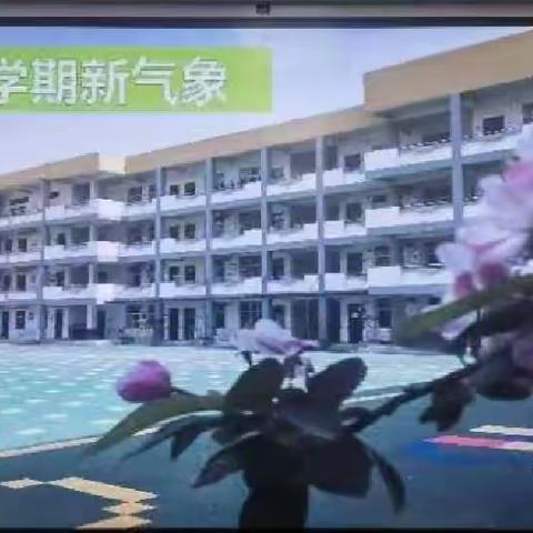 学习促成长    培训促提升——睢宁县南门学校教师学期初业务培训剪影