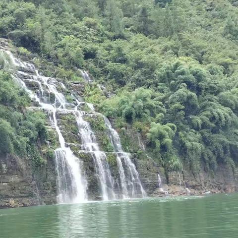 暑假实践  精彩纷呈——区一中五三中队