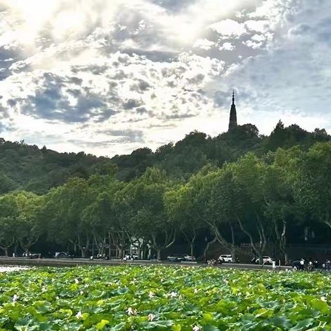 绣湖小学二（10）班赵浩然的快乐的暑假生活