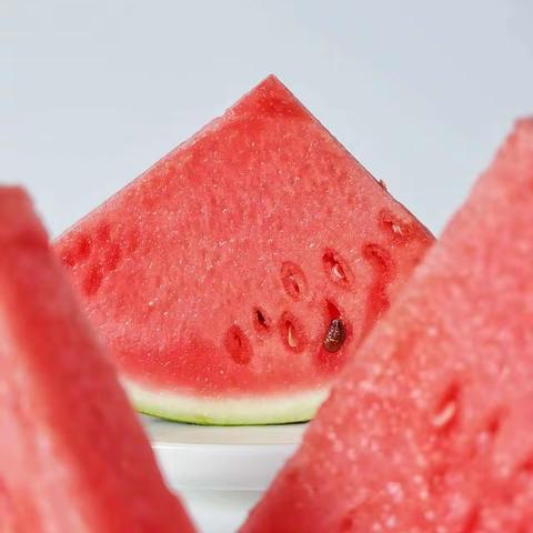 🍉夏日制作西瓜皮研究（科学作业）🍉