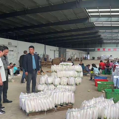 zhongzhong的美篇