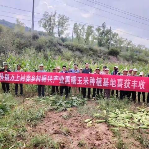 乡村振兴好“丰”景，农民增收甜心头