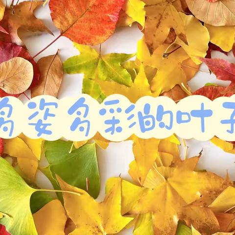 安顺红阳瑞博幼稚园 中一班10月月总结