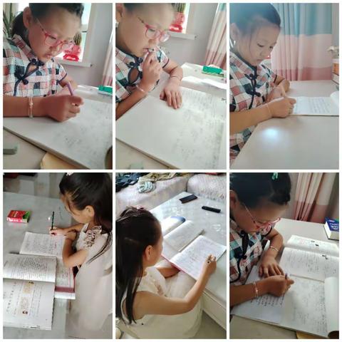 快乐的暑假生活