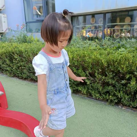 why的美篇