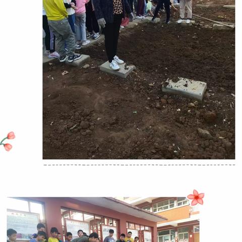 纸上得来终觉浅   绝知此事要躬行———太平明德小学五一班耕种试验田纪实