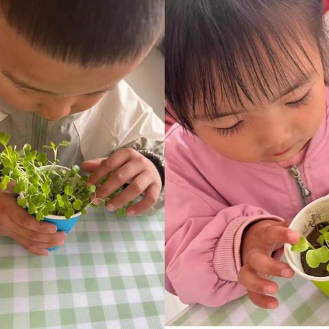 “🧚🏻春日不迟 🌷四季初始 ”    平安中心园小班     5月主题“春天🎐来了”