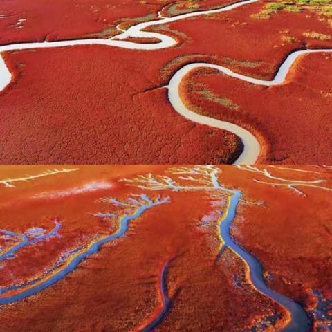 9.21-28号世界红色海岸线——盘锦红海滩  神奇山水，枫叶之都——本溪