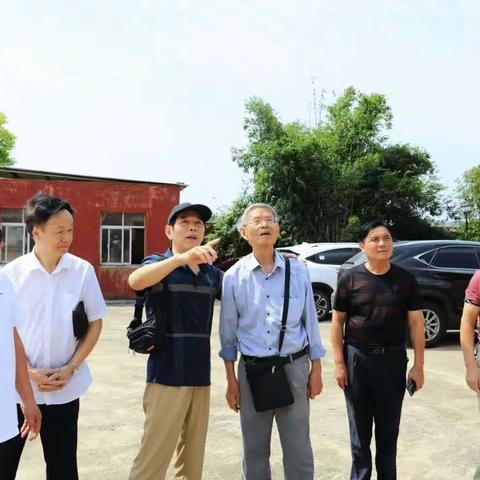 中元省亲祭祖   情系故土宗祠