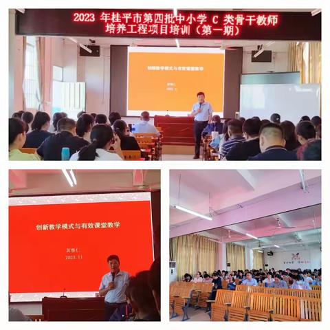 创新教学有模式，有效课堂添色彩——2023年桂平市第四批中小学C类骨干教师培养工程项目培训（第一期）