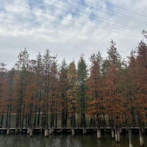 一起寻找秋天的足迹