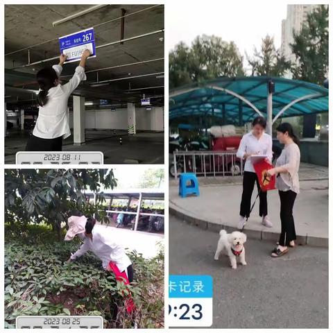 清风暖阳的美篇