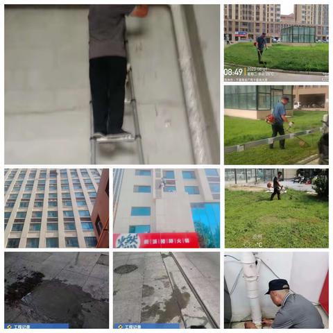 志新物业八月份工作汇总