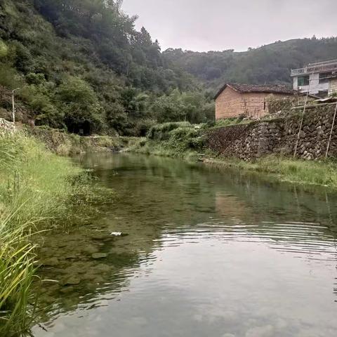 柳城小学2003“你好，暑假”之夏天就是玩水的季节