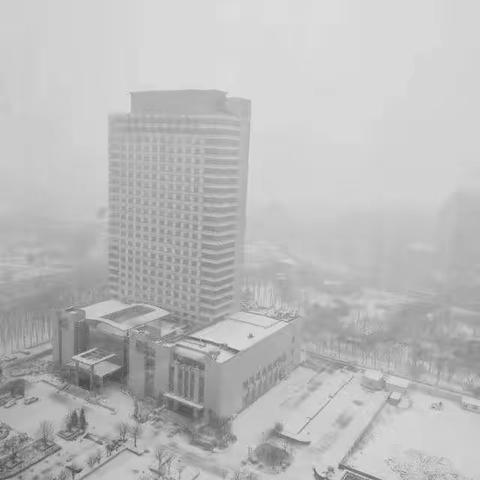 大雪纷飞美如画,物业扫雪暖人心!