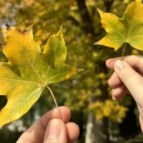 【带班纪实】学生们眼中的秋天