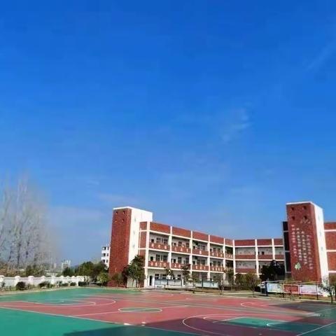 【董团小学】青蓝共舞，绽放青春光彩——记董团小学青蓝工程活动