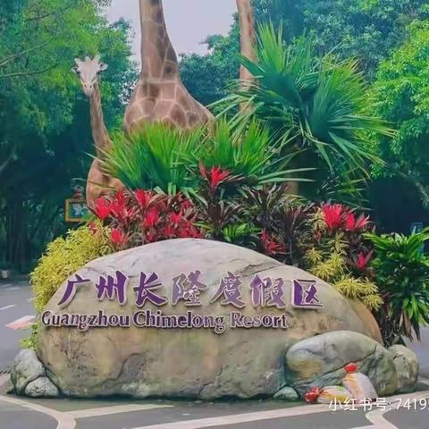 长隆旅游度假区九月份实习简报