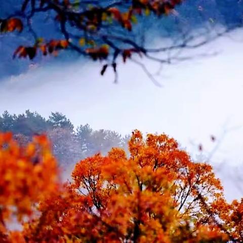 秋赏大别山红叶 九资河圣人堂 水上红叶 马鬃岭景区 网红马丁公路 休闲摄影两日游