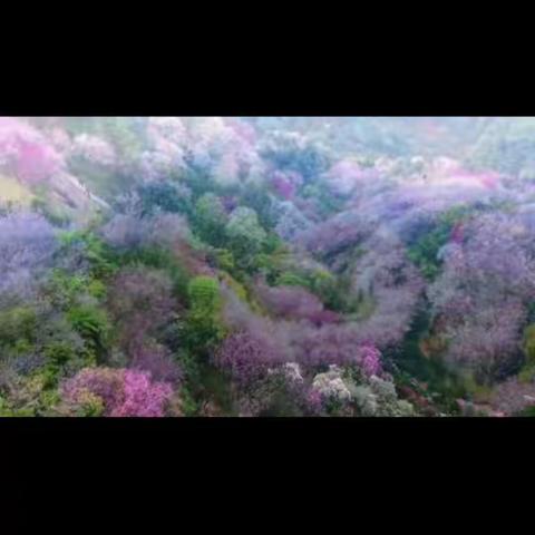 皖南卖花渔村  5A徽州古城     夜游黎阳老街 休闲摄影两日游