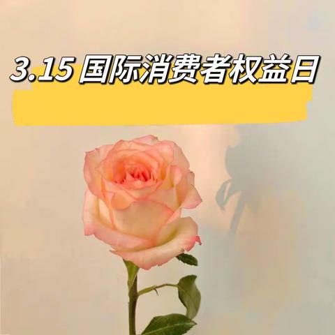 【五一广场支行】3.15维护消费者权益 构建和谐社会主义———中国银行福州五一广场支行在行动