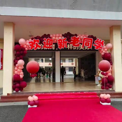 你好，一(1)班！