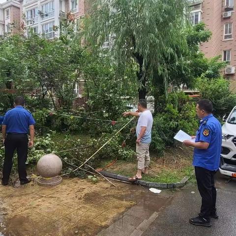 积极应对强降雨  排涝清污保通畅