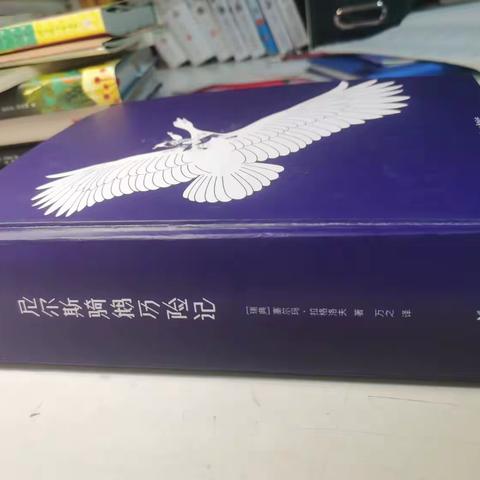 暑假阅读小达人——海口市第二十七小学五（6）班潘梓浩