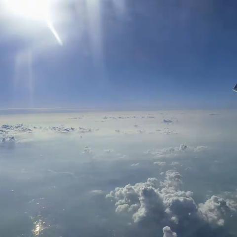 一切就像梦一样，暑假的幸福瞬间即逝，留下啦满满的回忆！七月在姐姐的陪伴下陆陆续续完成啦所有的暑假作业！